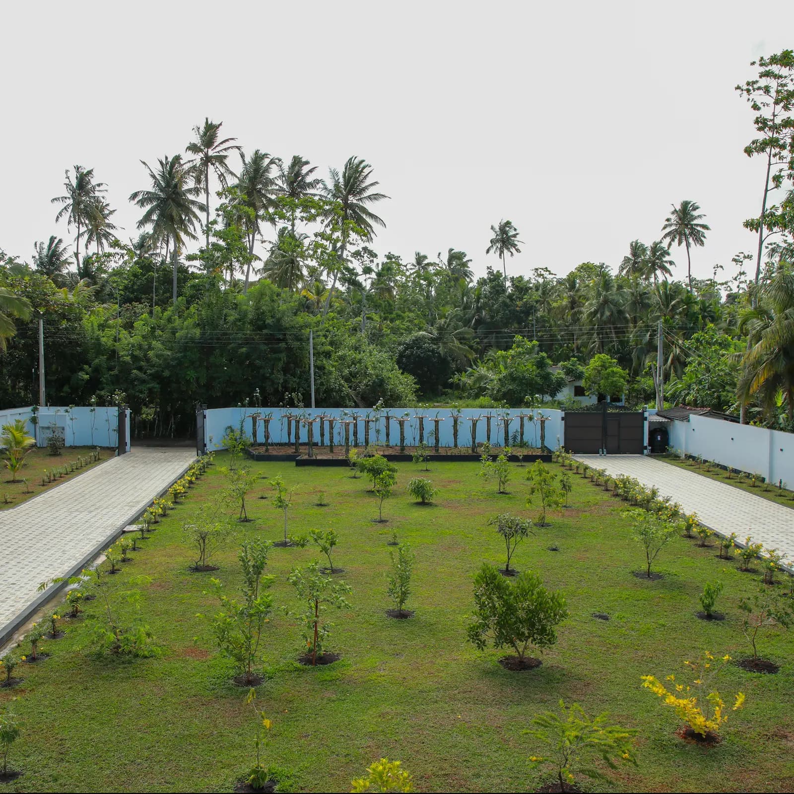 Tropical Garden
